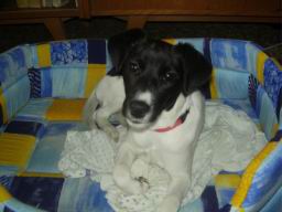 Resize of P9060009.JPG